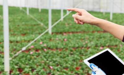 CA88集团(中国区) - 唯一官方网站