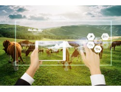 CA88集团(中国区) - 唯一官方网站