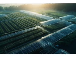 CA88集团(中国区) - 唯一官方网站